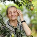 Диетолог объяснила пользу груш для пожилых людей