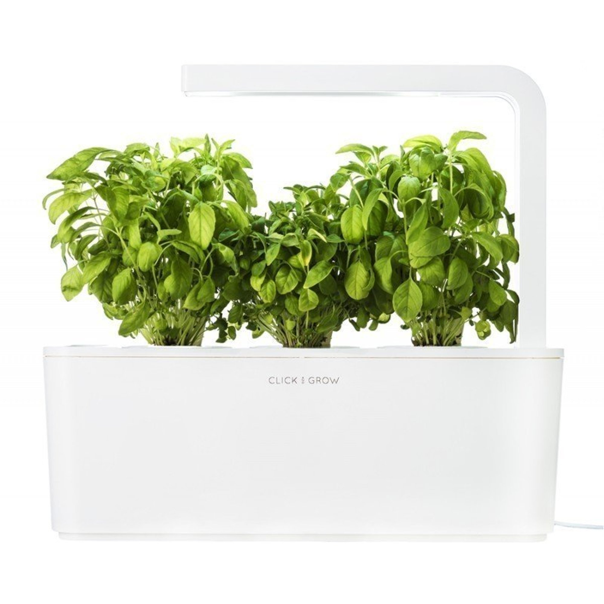 Click Grow Smart Garden rdi v i lilleaed potis sinu kodus