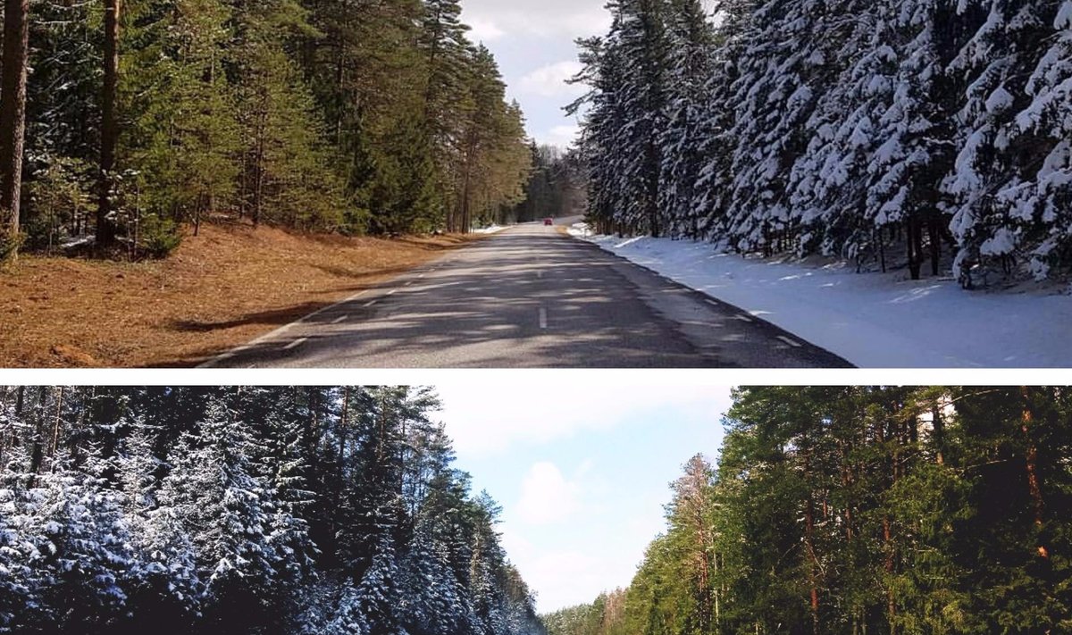 Eestimaa kevad ja talv vastamisi - ülemine foto tehtud 15. aprillil Tapa-Loobu maanteel, alumine 14. aprillil Vikipalus.