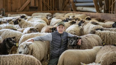 Mahelambad kosuvad Lahemaa rahvuspargis