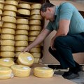 В Оренбурге уничтожат 21 тонну литовского сыра. Его ввезли через Казахстан