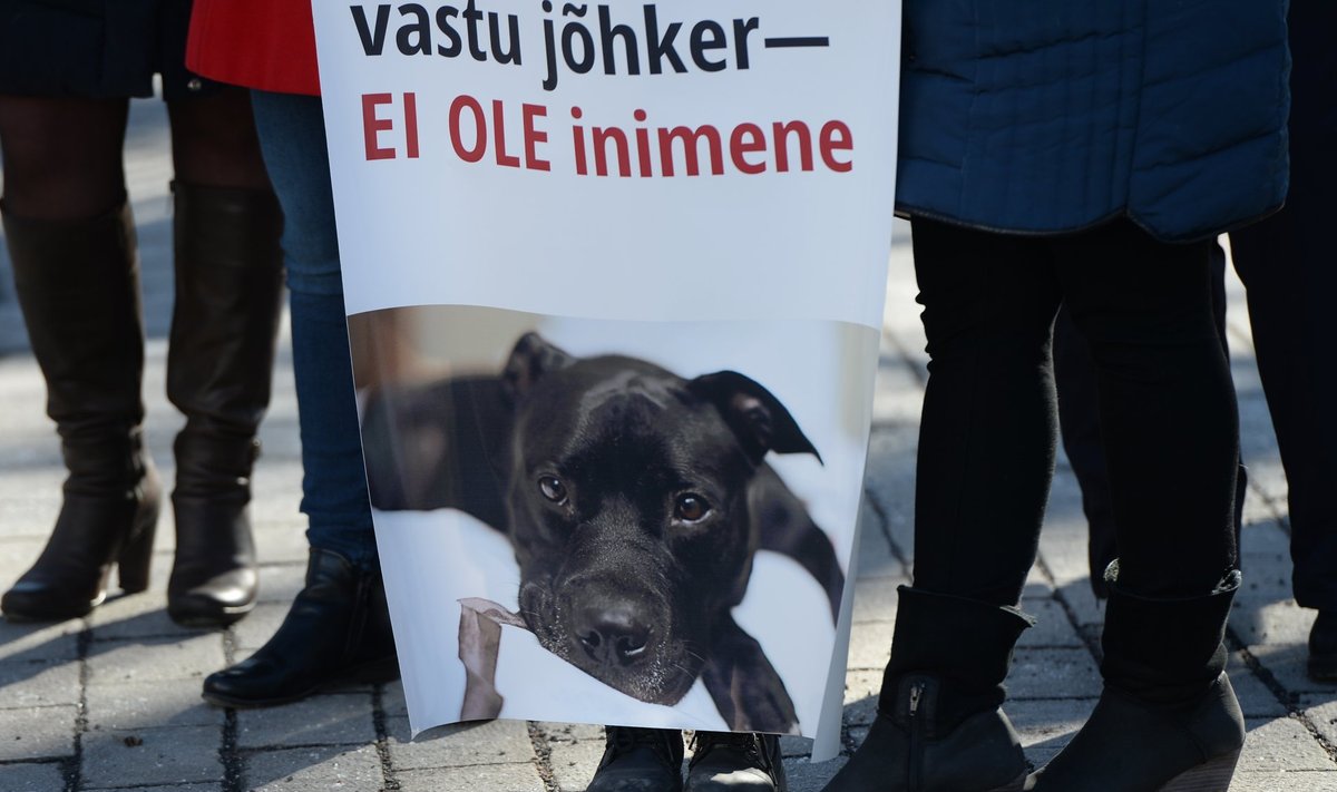 Loomakaitsjate pikett Toompeal Riigikogu ees