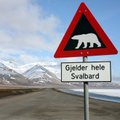 Tere tulemast sõbralikku Svalbardi: kuritegevust peaaegu ei tunta, aga asulast väljudes pead püssi kaasas kandma
