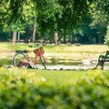 Источник молодости: жизнь вблизи парков может уменьшить ваш биологический возраст на 2,5 года 