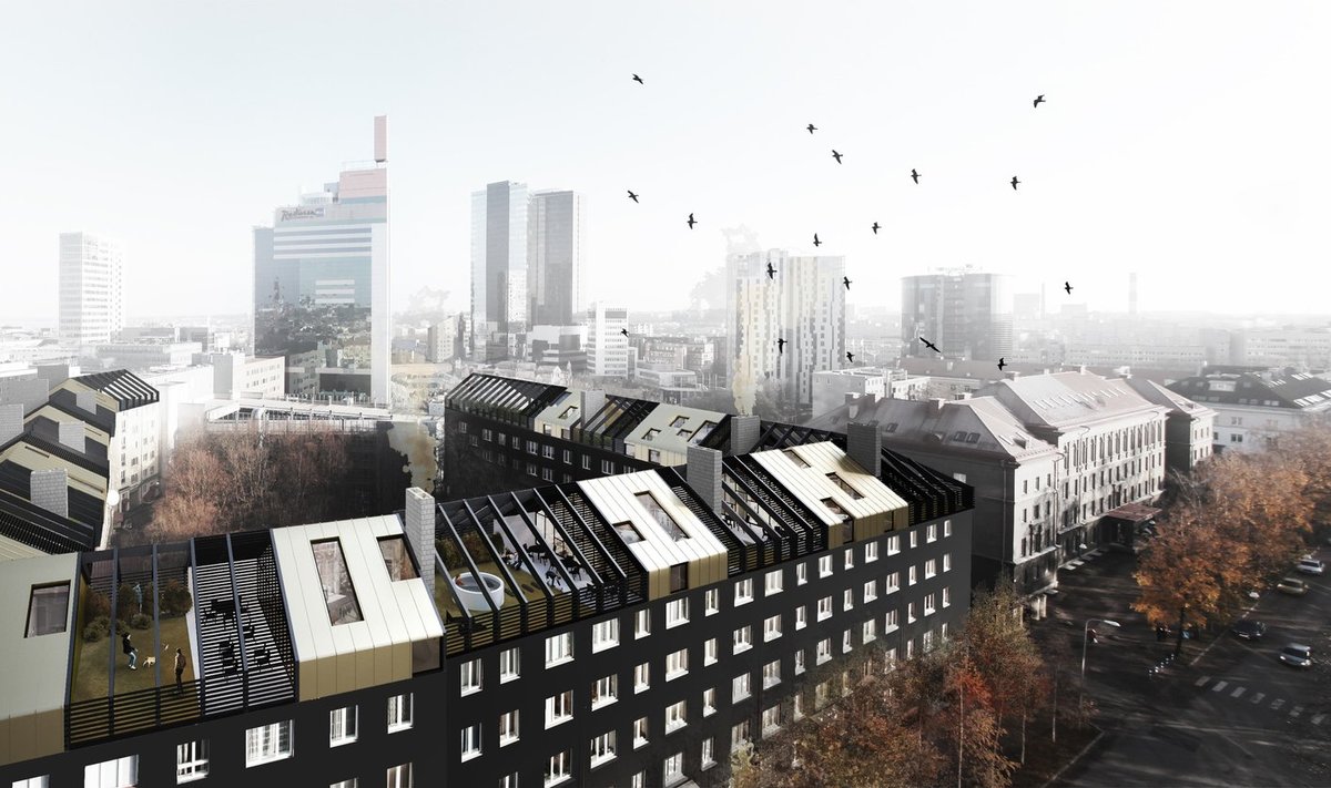 Üks nominentidest, Arhitekt Must on välja pakkunud mitmeid ideeprojekte, mille ülesandeks on olnud diskussiooni loomine arhitektuurist ja linnaruumist.