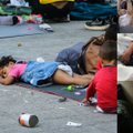 Британские парламентарии просят власти принять 3000 сирийских детей