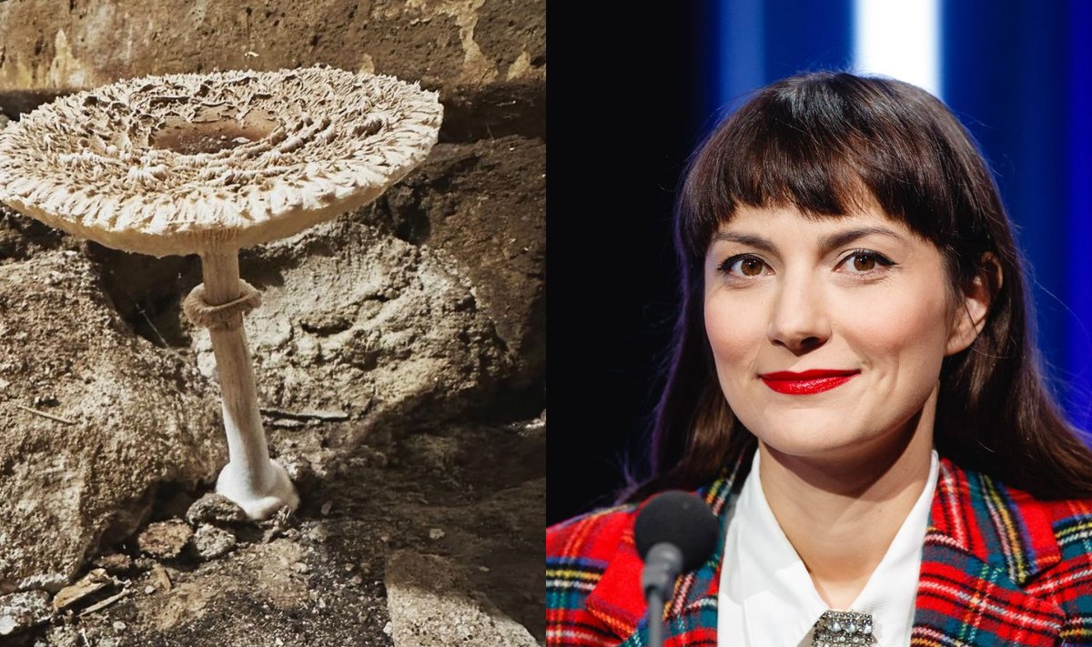 Poliitik Züleyxa Izmailova jagas sotsiaalmeedias fotot seenest, mille ta oma kodumaja keldrist leidis.