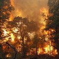 Texase põleng on hävitanud 500 majapidamist, kuberner katkestas presidendikampaania