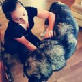 INTERVJUU | Koerte massöör Karolin Tohv: "Koerad tervenevad läbi energeetilise puudutuse!"