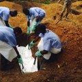 От вируса Эбола погибло более 930 человек, ВОЗ созвала чрезвычайное совещание