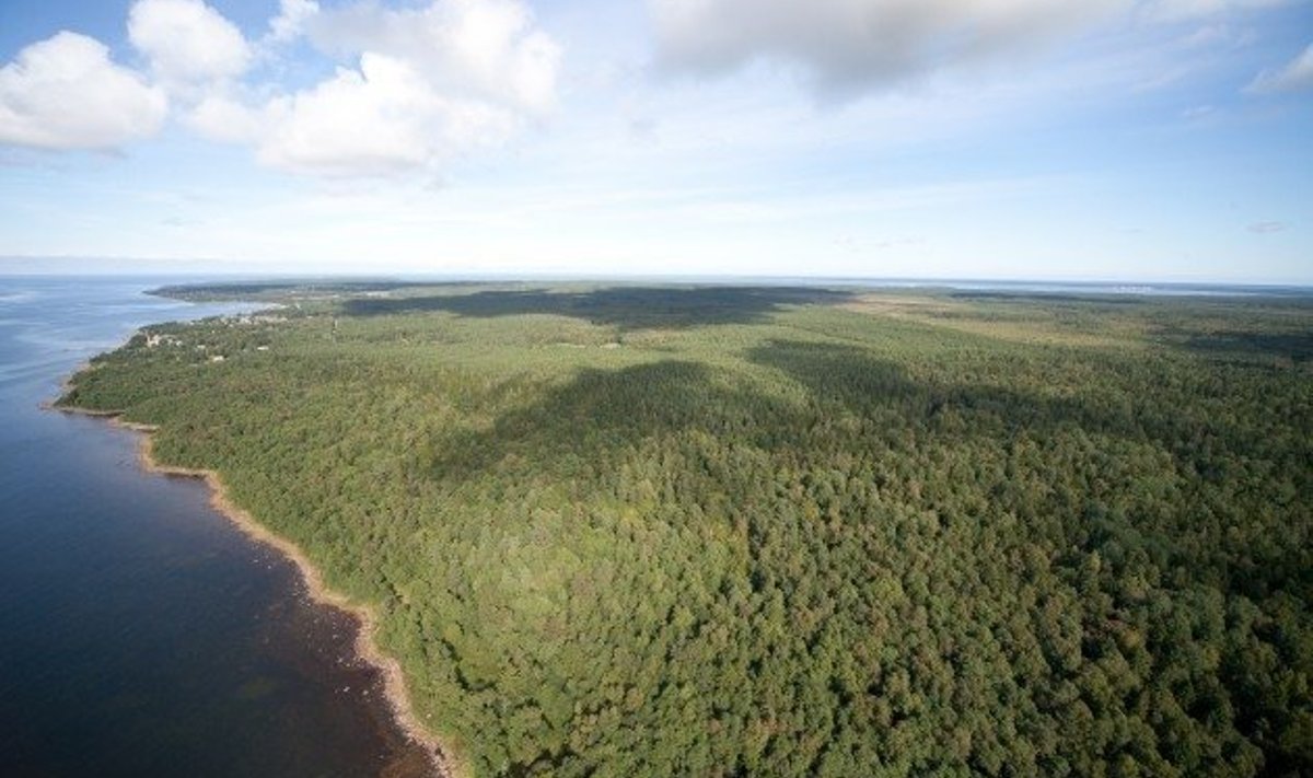 Eestimaa loodus