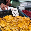 ФОТО: Рынки завалены грибами, но специалисты советуют собирать их в лесу