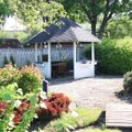 ФОТО: В Таллинне выбрали самый красивый частный сад