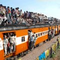 FOTOMONTAAŽ: Uued rongid muutuvad üha populaarsemaks