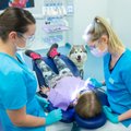 Teraapiakoer aitab lastel hambaarstihirmust priiks saada, kuid tema tööaeg kliinikus on piiratud