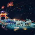 Во Франции запретят использовать диких животных в цирках и океанариумах