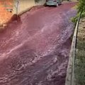 VIDEO | Portugali väikelinna tabas punase veini üleujutus