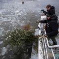 Soomes viskasid teadlased järve 1500 jõulupuud, tulemused on hämmastavad