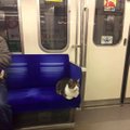 Tokyo metroos alati üksinda sõitev kass hämmastab kaasreisijaid