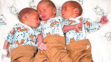 Три брата-акробата! Первые тройняшки этого года появились на свет в Тарту