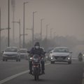 India pealinna lämmatab iga-aastane sudukate