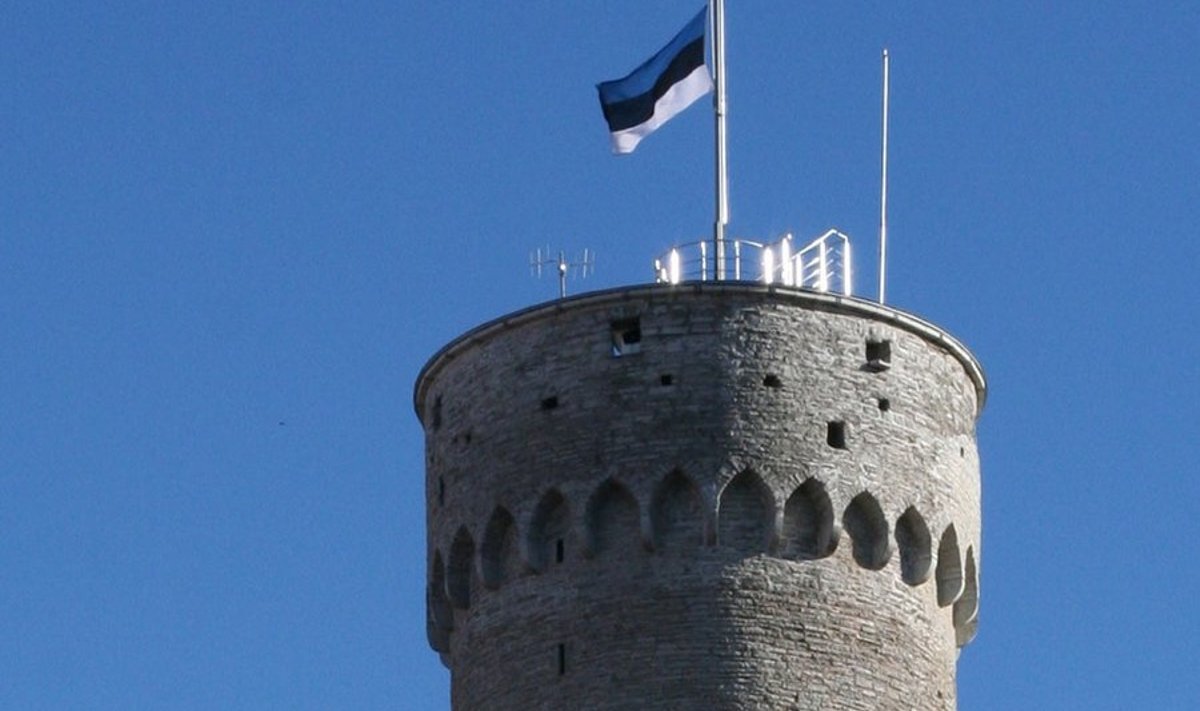  Eesti riigilipp (191 x 300 cm) lehvib 45,6 m kõrguse Pika Hermanni tipus, mis on merepinnast 95 m kõrgusel.