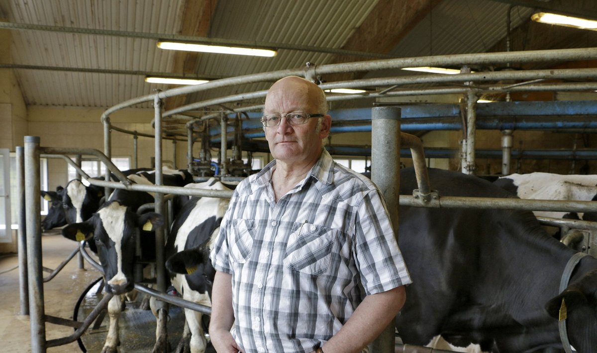 Raikküla Farmeri OÜ juhataja Tõnu Rahula on piimatootmist kokku tõmmanud, ent kvoot läheb ikka üle.