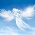 Inglid sinu teel: taevast saadetud märgid hoiatavad eesootava ohu eest