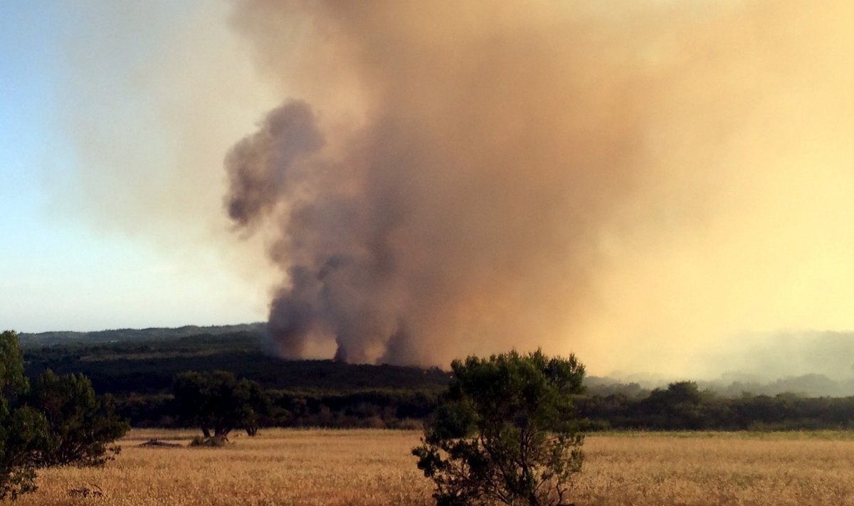 Illustreeriv foto põlengust Austraaliast, millesarnaseid seal iga suvi kartma peab. (Foto: REUTERS)