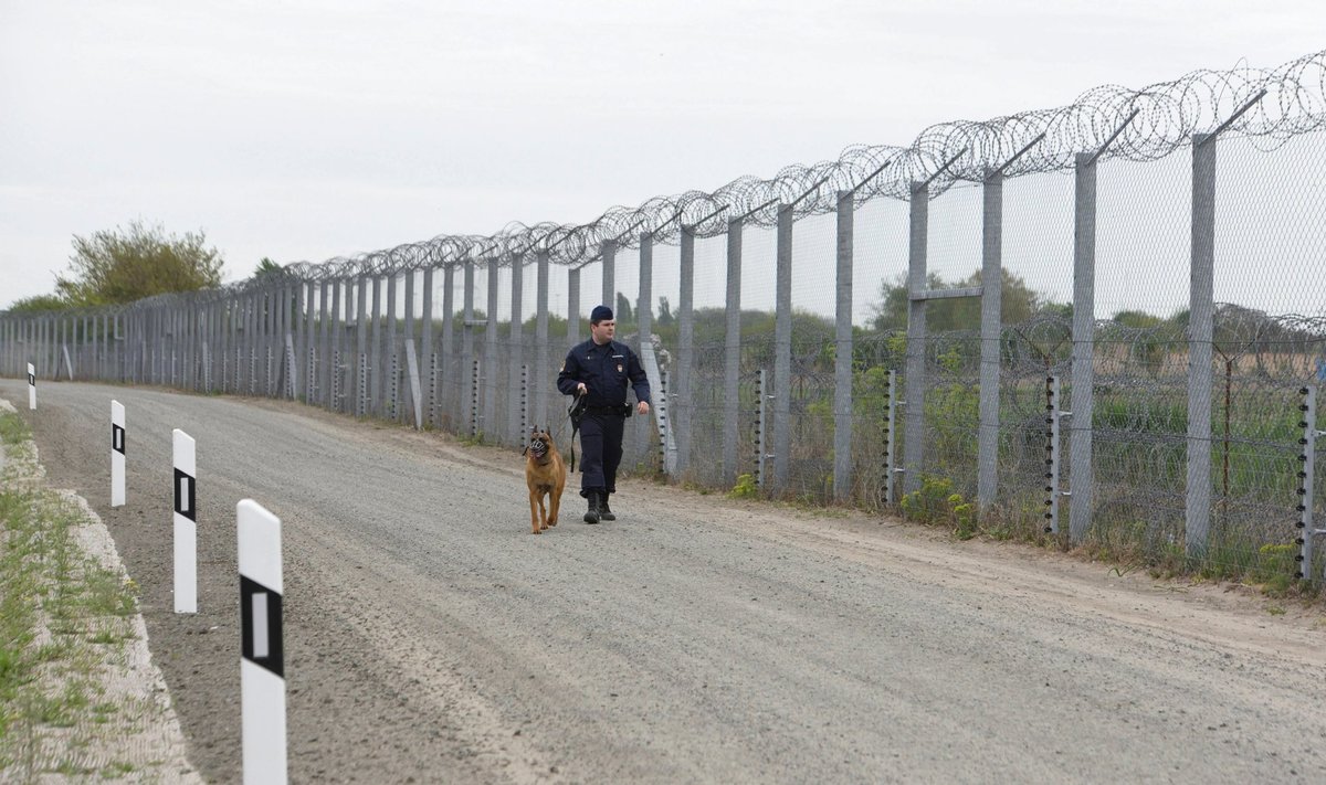 Politseinik Serbia-Ungari piiril patrullimas. Ungari ei taha riiki pagulasi ega salli enam ka nende aitajaid.