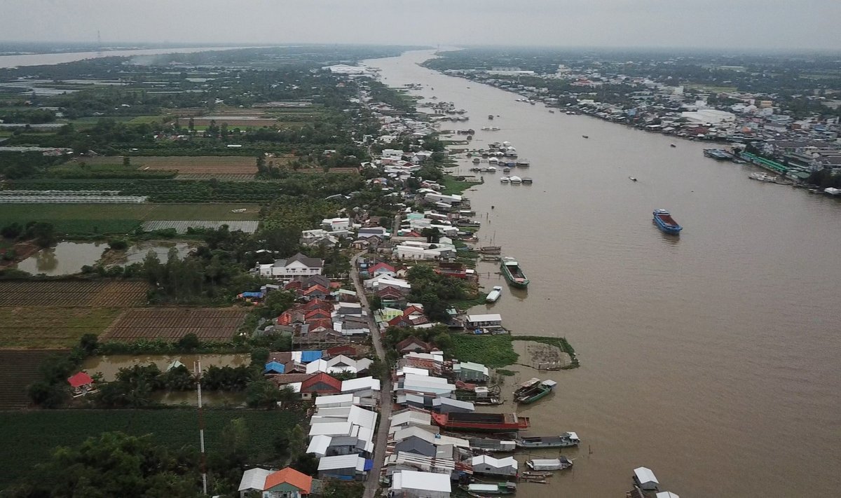 Mekongi delta moodustub paljudest jõeharudest ning kogu sealne pind on kasutuses. Jõe juures peetakse sealjuures viletsaks näitajaks vee selgust – hägusas vees on rohkem väetisena toimivaid setteid ja mineraale.