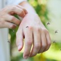 ОПЫТ ЧИТАТЕЛЯ | Неожиданное средство за 10 минут прогнало комаров из дома!
