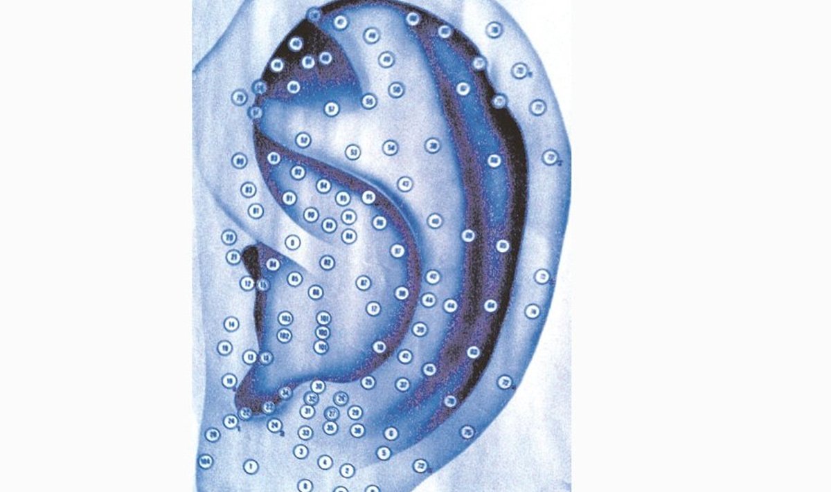 Kõrva pind on punktide abil  tihedasti seotud keha ülejäänud  organitega.