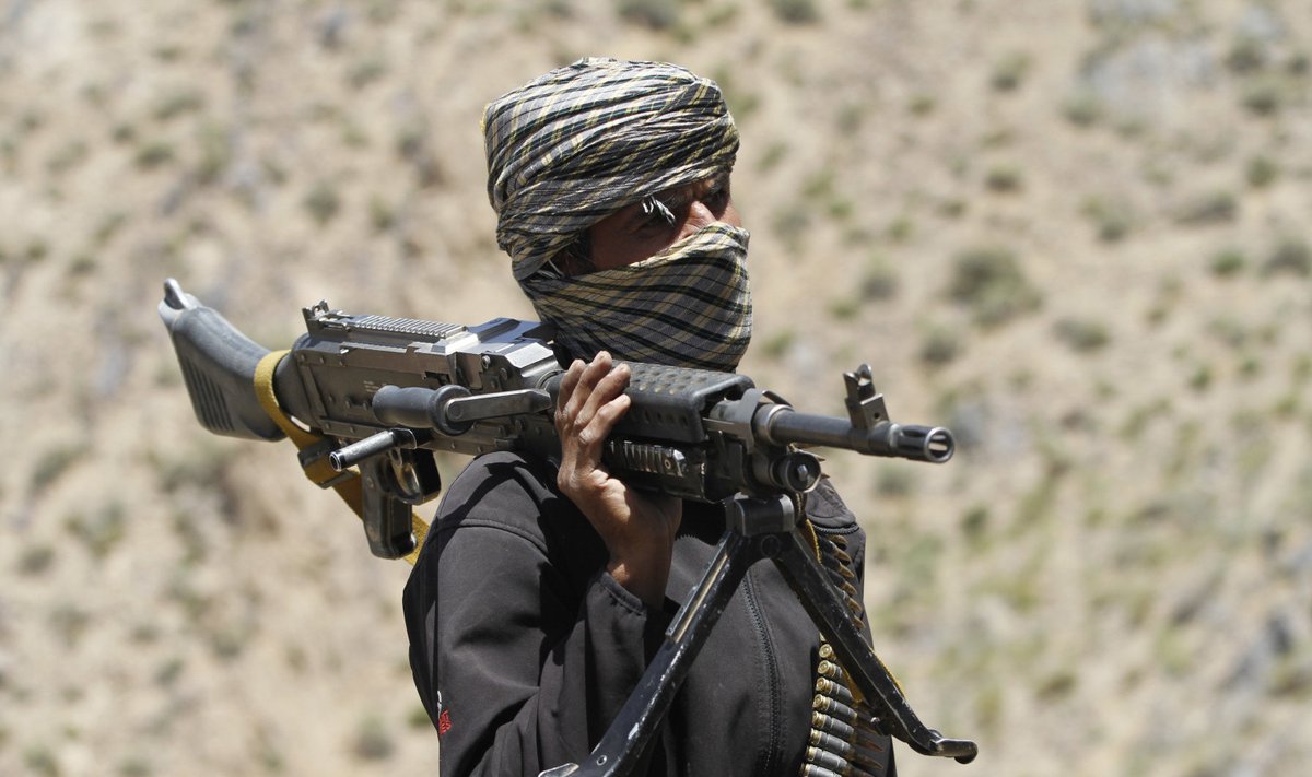 Talibani võitleja, 2016