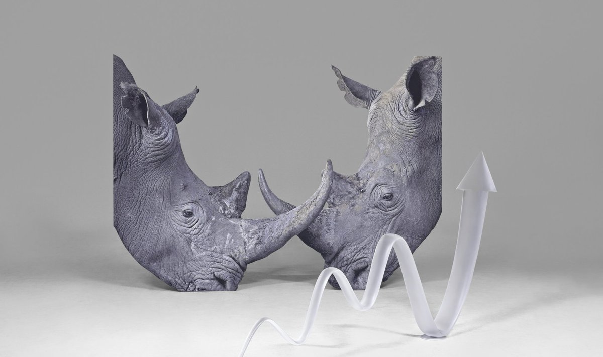 Katja Novitskova „Pattern of Activation (rhinos)“, 2014