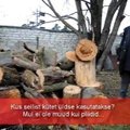 VIDEO: Vanaproua hädas - Tallinna linnavalitsus vedas vanaproua hoovi puurisu täis