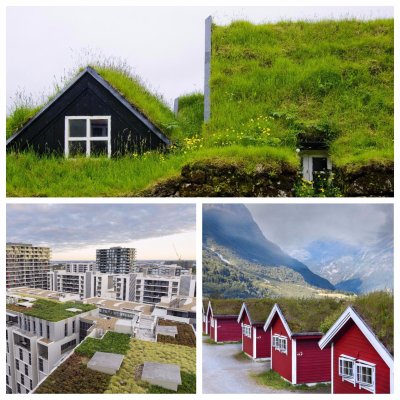 Üsna palju kohtab rohekatuseid Norras, aga ka maailma suurlinnades.