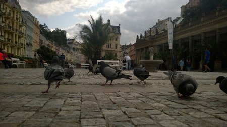 Tšehhi, Karlovy Vary