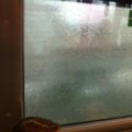 FOTO: Reklaame täis kleebitud liinibussist avaneb vihmase ilmaga niisugune maaliline vaade