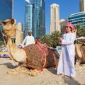 Вернувшийся из Дубая: 12 вещей, которые я бы хотел знать ДО того, как туда поехал