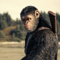 Mati Kaal filmist "Ahvide planeedi sõda": tänastel ahvidel pole mingit võimalust domineerida inimeseloomade üle