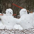 Mäetagusel toimusid esimesed meistrimängud lumememmede ehitamises