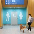 ФОТО: В аэропорту Хельсинки теперь и у собак есть свои туалеты