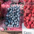 Как необычно теплый сезон скажется на урожае и ценах на фрукты, овощи и ягоды на рынке и в магазинах?