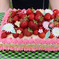 Väikeses Tartumaa külas müüdi tort, mille kilo maksis 70 eurot