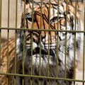 „Täna võib!“ loomaaias loomapidajate seadustest