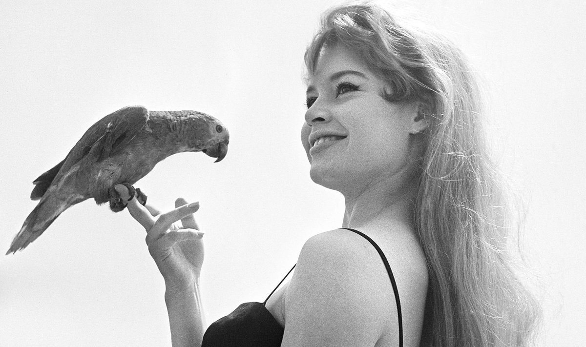 Brigitte Bardot ja tema stiil on tänu uuele telesarjale taas päevakajalised.