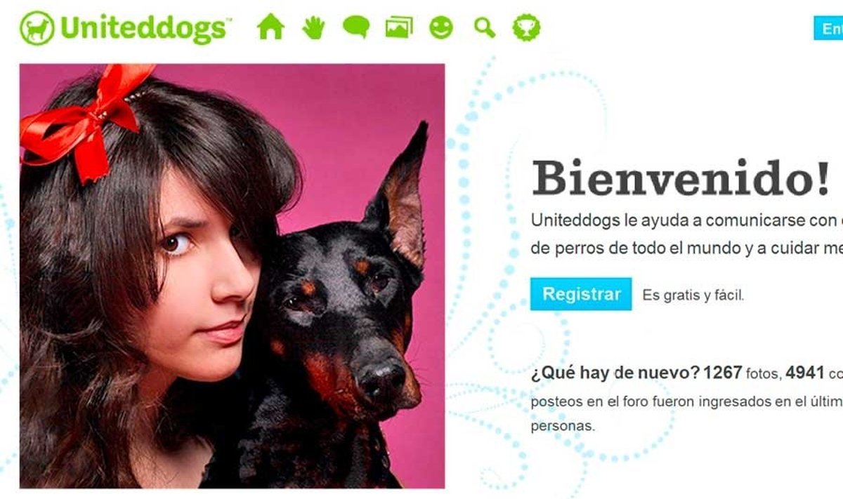 Kaunitar koerakesega: Pildike  Uniteddogsi hispaaniakeelselt  leheküljelt.