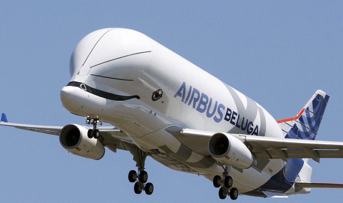An Airbus Beluga XL