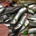 Pärnumaa kalafirma valmistub sisenema Vene turule